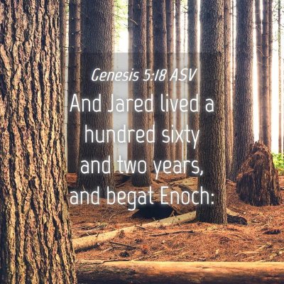 Picture 04 - Genesis 5:18 ASV - And Jared lived a hundred sixty and two years, - Bible Verse Picture
