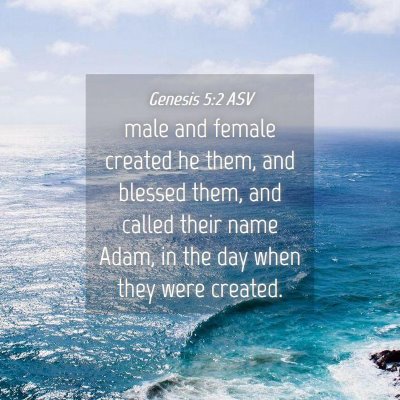 Picture 04 - Genesis 5:2 ASV - male and female created he them, and blessed - Bible Verse Picture