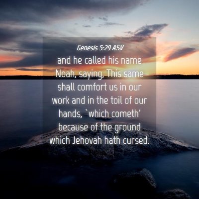 Picture 04 - Genesis 5:29 ASV - and he called his name Noah, saying, This same - Bible Verse Picture