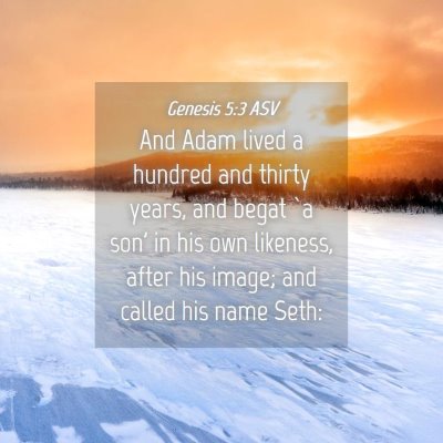 Picture 04 - Genesis 5:3 ASV - And Adam lived a hundred and thirty years, and - Bible Verse Picture