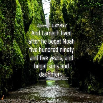 Picture 04 - Genesis 5:30 ASV - And Lamech lived after he begat Noah five hundred - Bible Verse Picture