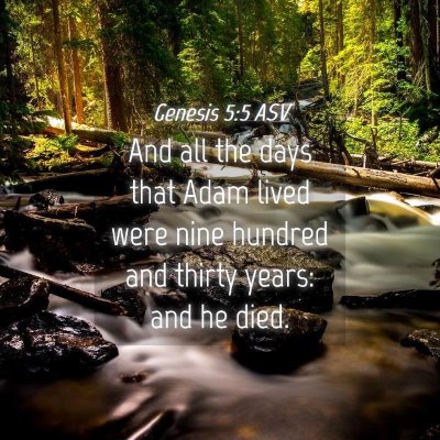 Picture 04 - Genesis 5:5 ASV - And all the days that Adam lived were nine - Bible Verse Picture
