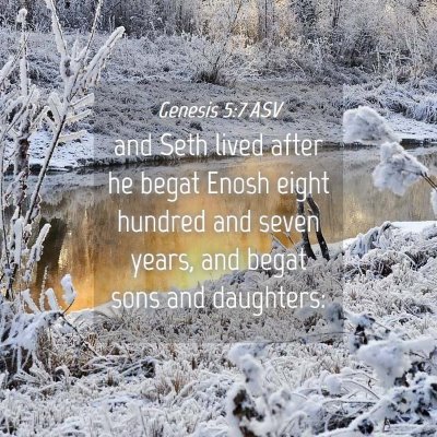 Picture 04 - Genesis 5:7 ASV - and Seth lived after he begat Enosh eight hundred - Bible Verse Picture