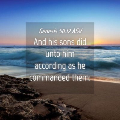 Picture 04 - Genesis 50:12 ASV - And his sons did unto him according as he - Bible Verse Picture