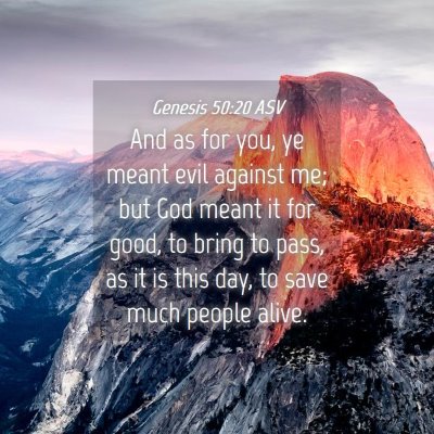 Picture 04 - Genesis 50:20 ASV - And as for you, ye meant evil against me; but God - Bible Verse Picture