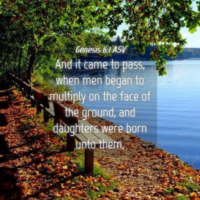Picture 04 - Genesis 6:1 ASV - And it came to pass, when men began to multiply - Bible Verse Picture
