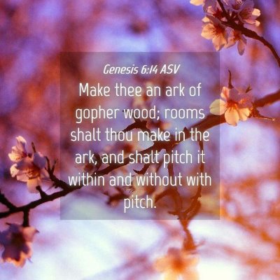 Picture 04 - Genesis 6:14 ASV - Make thee an ark of gopher wood; rooms shalt thou - Bible Verse Picture