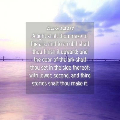 Picture 04 - Genesis 6:16 ASV - A light shalt thou make to the ark, and to a - Bible Verse Picture