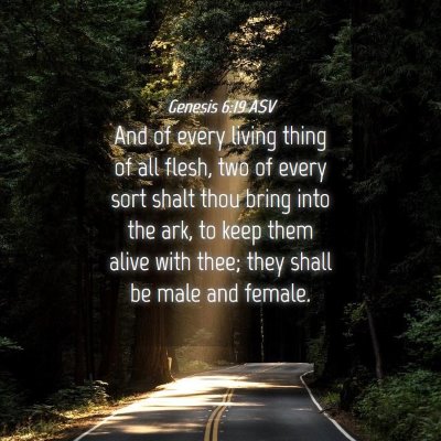 Picture 04 - Genesis 6:19 ASV - And of every living thing of all flesh, two of - Bible Verse Picture
