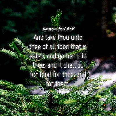Picture 04 - Genesis 6:21 ASV - And take thou unto thee of all food that is - Bible Verse Picture