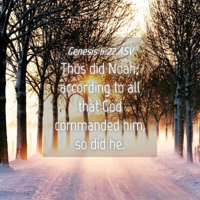 Picture 04 - Genesis 6:22 ASV - Thus did Noah; according to all that God - Bible Verse Picture