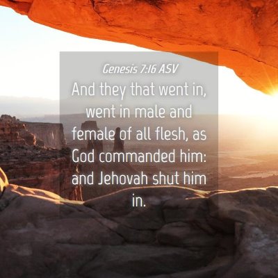 Picture 04 - Genesis 7:16 ASV - And they that went in, went in male and female of - Bible Verse Picture