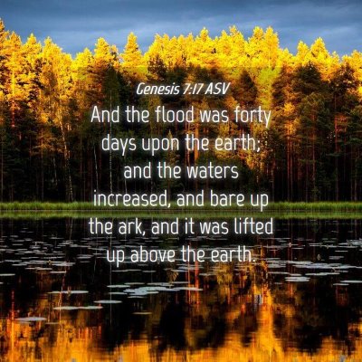 Picture 04 - Genesis 7:17 ASV - And the flood was forty days upon the earth; and - Bible Verse Picture