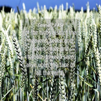 Picture 04 - Genesis 7:3 ASV - of the birds also of the heavens, seven and - Bible Verse Picture