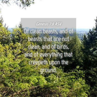 Picture 04 - Genesis 7:8 ASV - Of clean beasts, and of beasts that are not - Bible Verse Picture
