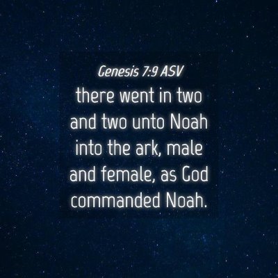 Picture 04 - Genesis 7:9 ASV - there went in two and two unto Noah into the ark, - Bible Verse Picture
