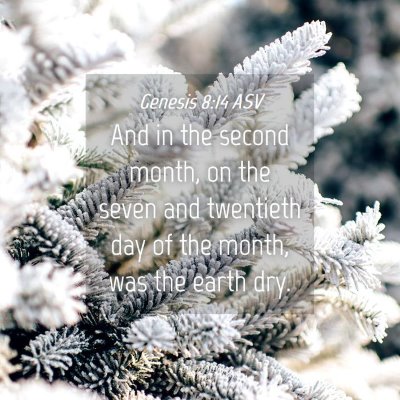 Picture 04 - Genesis 8:14 ASV - And in the second month, on the seven and - Bible Verse Picture
