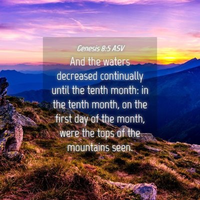 Picture 04 - Genesis 8:5 ASV - And the waters decreased continually until the - Bible Verse Picture
