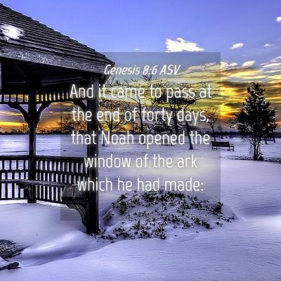Picture 04 - Genesis 8:6 ASV - And it came to pass at the end of forty days, - Bible Verse Picture