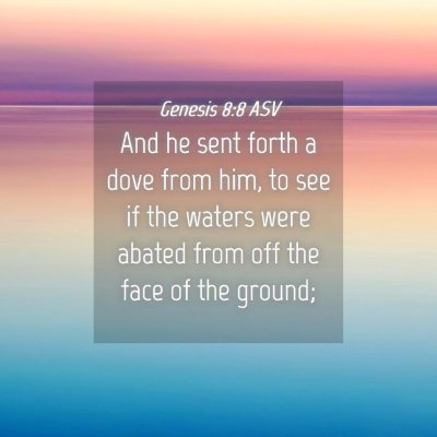 Picture 04 - Genesis 8:8 ASV - And he sent forth a dove from him, to see if the - Bible Verse Picture