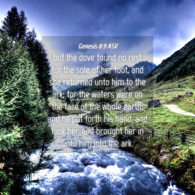 Picture 04 - Genesis 8:9 ASV - but the dove found no rest for the sole of her - Bible Verse Picture