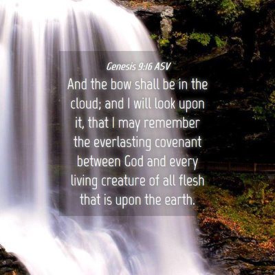Picture 04 - Genesis 9:16 ASV - And the bow shall be in the cloud; and I will - Bible Verse Picture