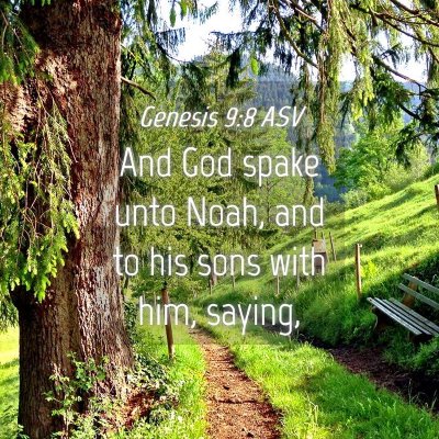Picture 04 - Genesis 9:8 ASV - And God spake unto Noah, and to his sons with - Bible Verse Picture