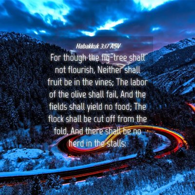 Picture 04 - Habakkuk 3:17 ASV - For though the fig-tree shall not flourish, - Bible Verse Picture