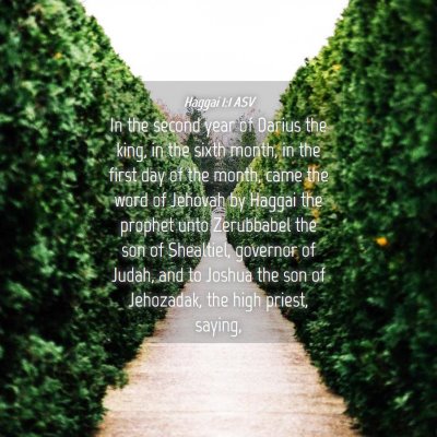 Picture 04 - Haggai 1:1 ASV - In the second year of Darius the king, in the - Bible Verse Picture
