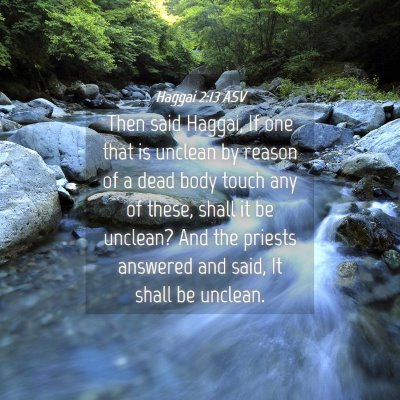 Picture 04 - Haggai 2:13 ASV - Then said Haggai, If one that is unclean by - Bible Verse Picture