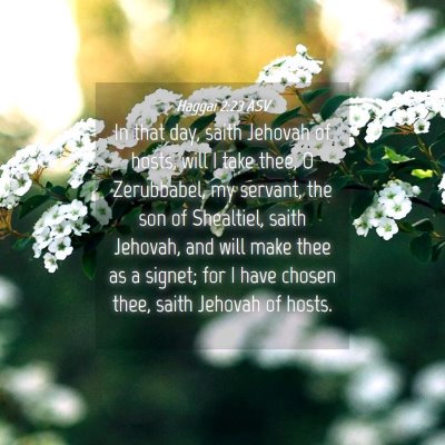 Picture 04 - Haggai 2:23 ASV - In that day, saith Jehovah of hosts, will I take - Bible Verse Picture