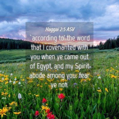 Picture 04 - Haggai 2:5 ASV - `according to' the word that I covenanted with - Bible Verse Picture