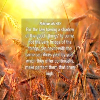 Picture 04 - Hebrews 10:1 ASV - For the law having a shadow of the good `things' - Bible Verse Picture