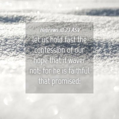 Picture 04 - Hebrews 10:23 ASV - let us hold fast the confession of our hope that - Bible Verse Picture