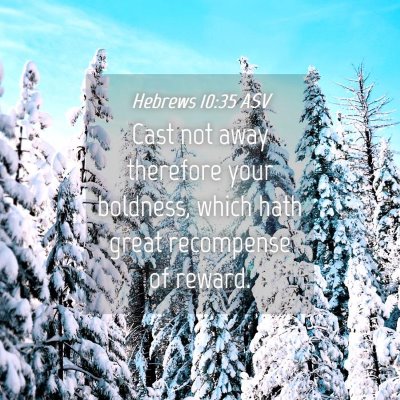 Picture 04 - Hebrews 10:35 ASV - Cast not away therefore your boldness, which hath - Bible Verse Picture