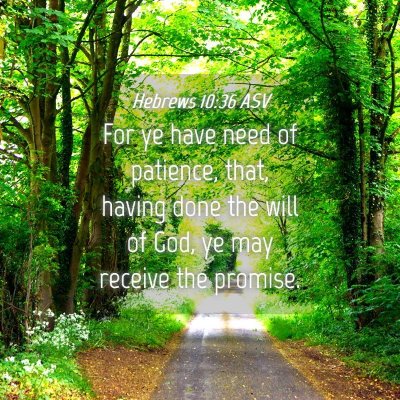 Picture 04 - Hebrews 10:36 ASV - For ye have need of patience, that, having done - Bible Verse Picture