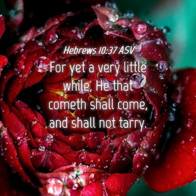 Picture 04 - Hebrews 10:37 ASV - For yet a very little while, He that cometh shall - Bible Verse Picture