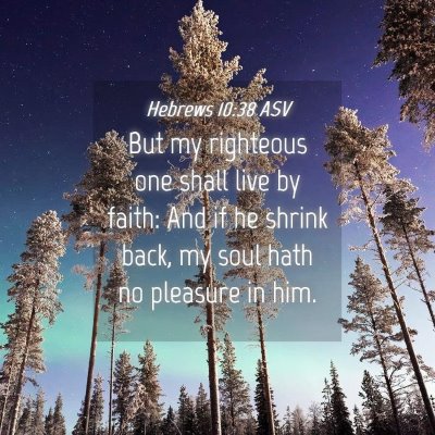 Picture 04 - Hebrews 10:38 ASV - But my righteous one shall live by faith: And if - Bible Verse Picture