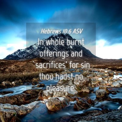 Picture 04 - Hebrews 10:6 ASV - In whole burnt offerings and `sacrifices' for sin - Bible Verse Picture