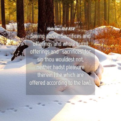 Picture 04 - Hebrews 10:8 ASV - Saying above, Sacrifices and offerings and whole - Bible Verse Picture