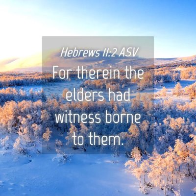 Picture 04 - Hebrews 11:2 ASV - For therein the elders had witness borne to - Bible Verse Picture
