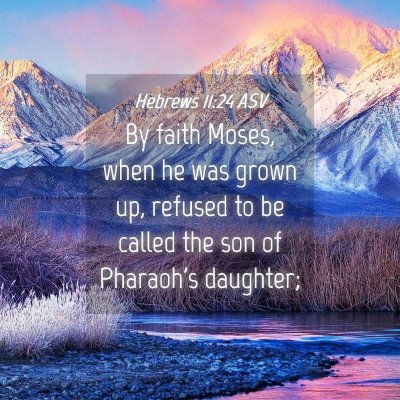 Picture 04 - Hebrews 11:24 ASV - By faith Moses, when he was grown up, refused to - Bible Verse Picture