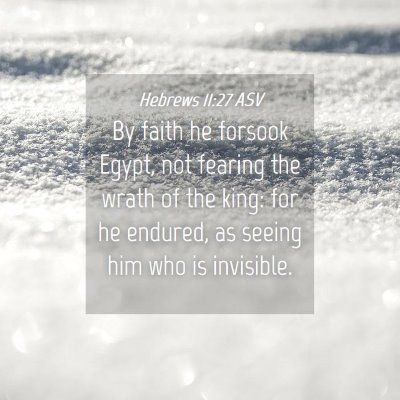 Picture 04 - Hebrews 11:27 ASV - By faith he forsook Egypt, not fearing the wrath - Bible Verse Picture