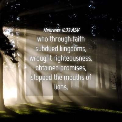 Picture 04 - Hebrews 11:33 ASV - who through faith subdued kingdoms, wrought - Bible Verse Picture