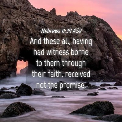 Picture 04 - Hebrews 11:39 ASV - And these all, having had witness borne to them - Bible Verse Picture