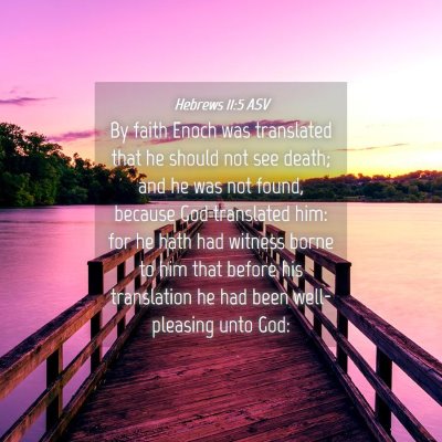 Picture 04 - Hebrews 11:5 ASV - By faith Enoch was translated that he should not - Bible Verse Picture
