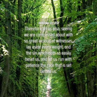 Picture 04 - Hebrews 12:1 ASV - Therefore let us also, seeing we are compassed - Bible Verse Picture