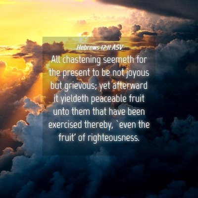 Picture 04 - Hebrews 12:11 ASV - All chastening seemeth for the present to be not - Bible Verse Picture