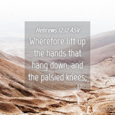 Picture 04 - Hebrews 12:12 ASV - Wherefore lift up the hands that hang down, and - Bible Verse Picture