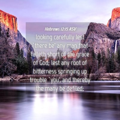 Picture 04 - Hebrews 12:15 ASV - looking carefully lest `there be' any man that - Bible Verse Picture